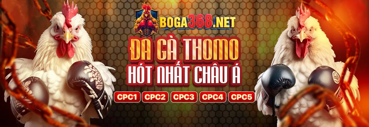 Sân đấu đá gà trực tuyến 18win3 casino sôi động